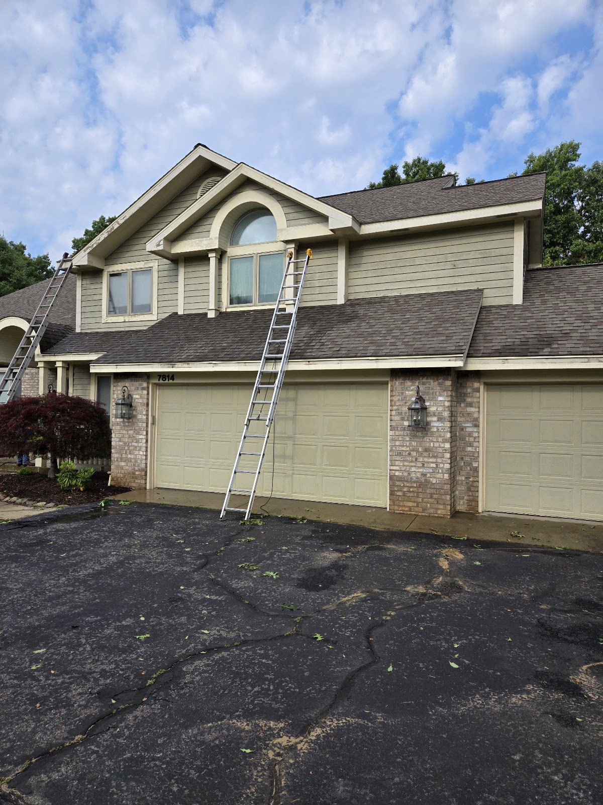 Two-storey home with sage siding being painted, ladder against the wall